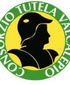 Musica e vino La manifestazione si propone di valorizz Musica e vino La manifestazione si propone di valorizz