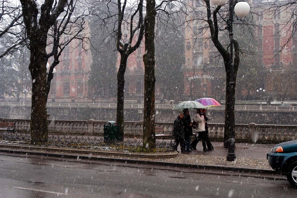 neve neve