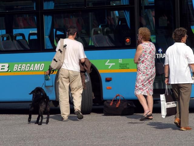 Immagine per None