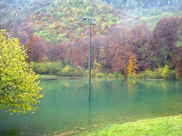 Immagine per None