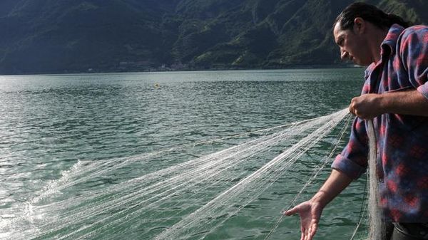 Immagine per None