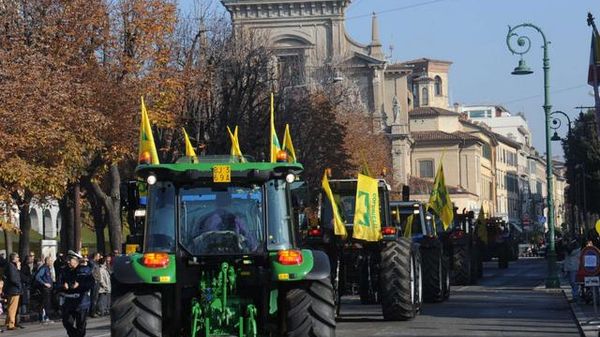 Immagine per None