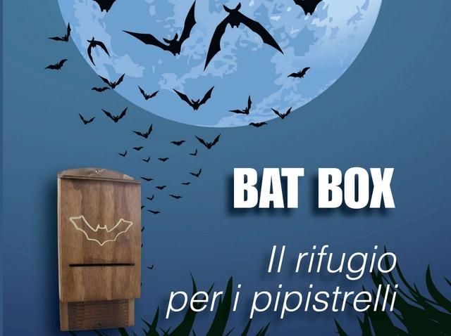 Immagine per None