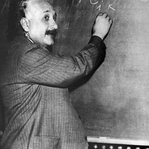 Porta Carte Oyster – Albert Einstein Con Scritta Google It – 2 Tasche Interne – Porta Tessera E Biglietti