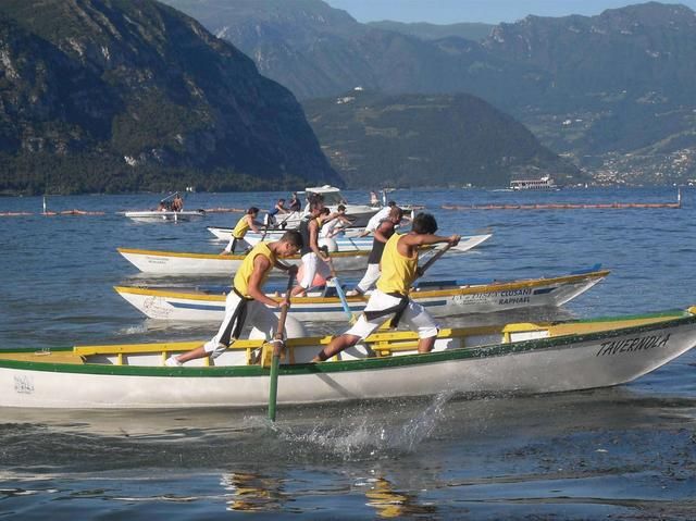 Immagine per None