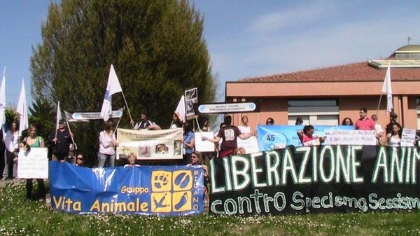 Immagine per None