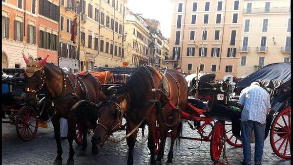 Immagine per None