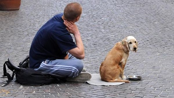Immagine per None