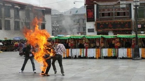 Immagine per 36fc0f8a-d31c-11e2-b8b3-537477fa1413