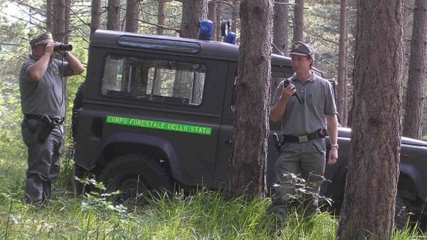 Immagine per 4ce6ce3c-d2a1-11e2-b643-6bbfd42cab30