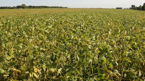 091a1a18-de83-11e2-af8b-d01fa4657ab5