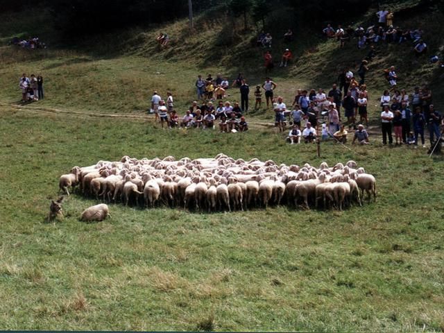 Immagine per None