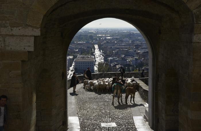 La transumanza sotto Porta San Giacomo La transumanza sotto Porta San Giacomo