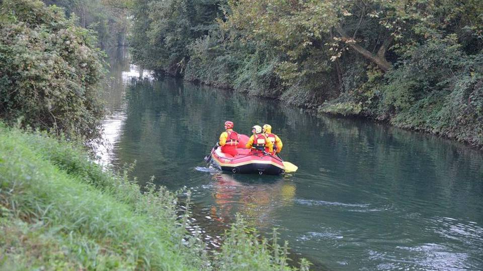 Apprensione per una cagnolina Cieca e quasi sorda cade in un canale Apprensione per una cagnolina Cieca e quasi sorda cade in un canale