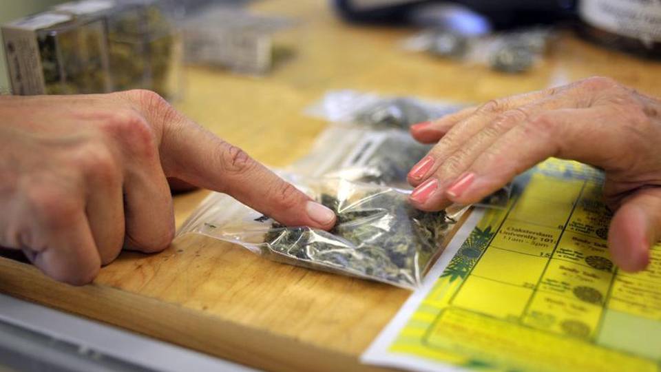 La cannabis a scuola tra pigrizia e prediche La cannabis a scuola tra pigrizia e prediche