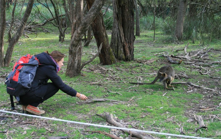 Eleonora, da Verdellino a Melbourne sognando di diventare archeologa