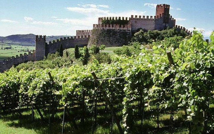 Giochi e falconieri al Castello di Soave