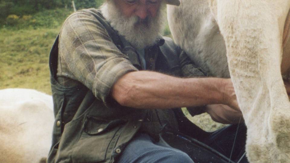 La mungitura? Ancora a mano Branzi, a settembre sfida mondiale La mungitura? Ancora a mano Branzi, a settembre sfida mondiale