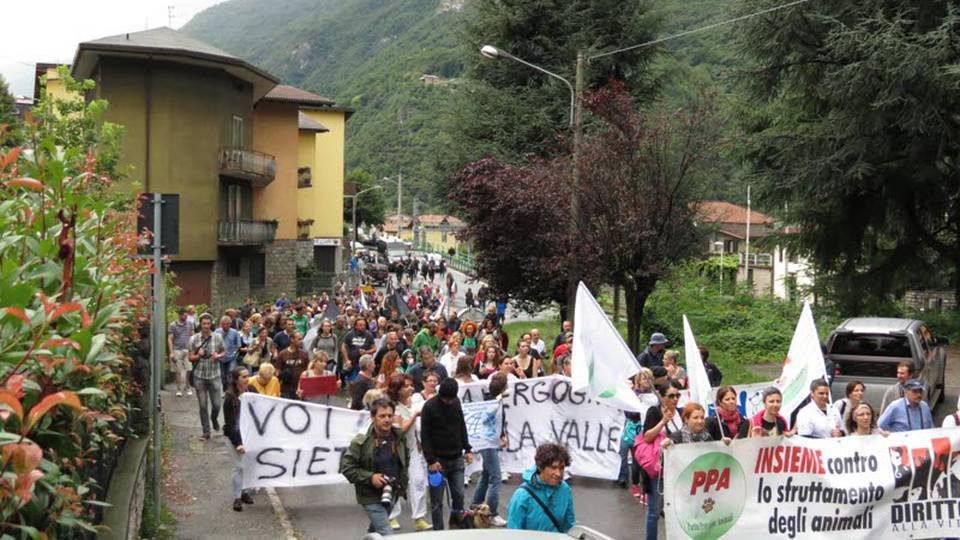 Tensione a Breno con gli animalisti Offese e minacce ai killer del cane Tensione a Breno con gli animalisti Offese e minacce ai killer del cane