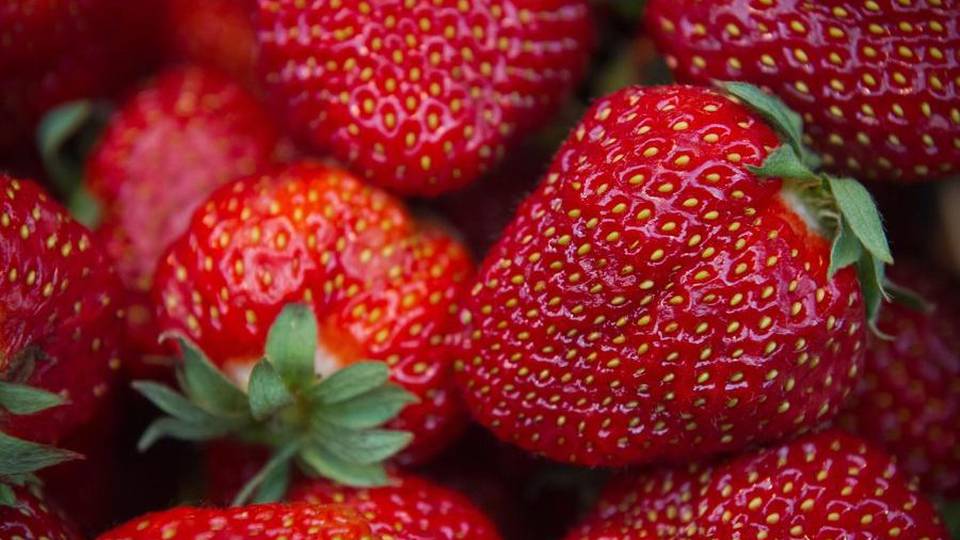 Pesticidi: contenuti nel 45% del cibo Fragole e lattuga più a rischio Pesticidi: contenuti nel 45% del cibo Fragole e lattuga più a rischio