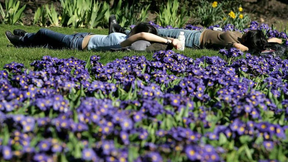 Ancora sole per quest’inizio di settimana Previsti 24°C. E il cambio armadi? Ancora sole per quest’inizio di settimana Previsti 24°C. E il cambio armadi?