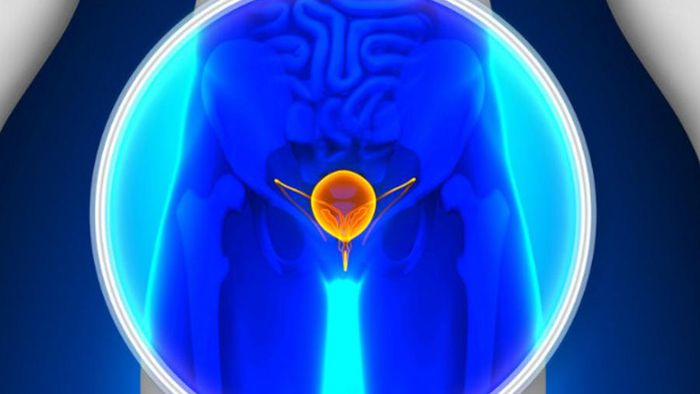 Una nuova procedura mininvasiva per la cura della vescica neurogena