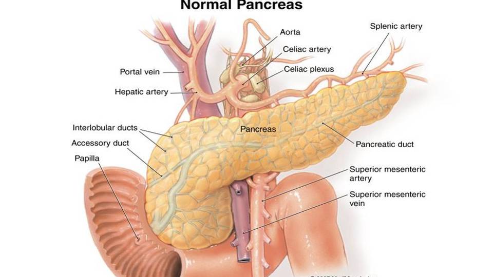 C’è un nuovo microinfusore Sempre più vicini a pancreas artificiale C’è un nuovo microinfusore Sempre più vicini a pancreas artificiale