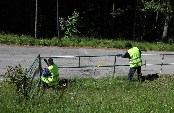 I profughi al lavoro a Roncobello