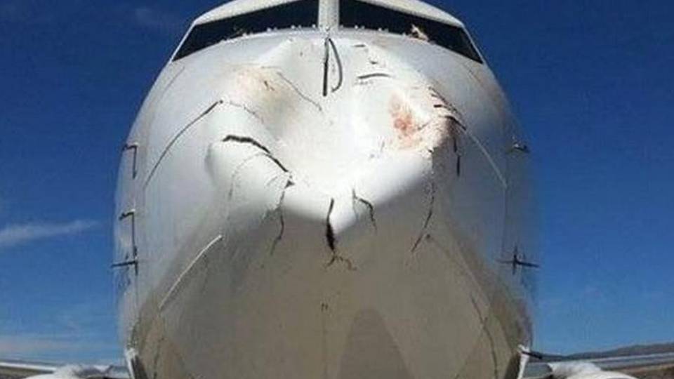 Si scontra con uno stormo di uccelli Ma il 737 riesce ad atterrare in Turchia Si scontra con uno stormo di uccelli Ma il 737 riesce ad atterrare in Turchia