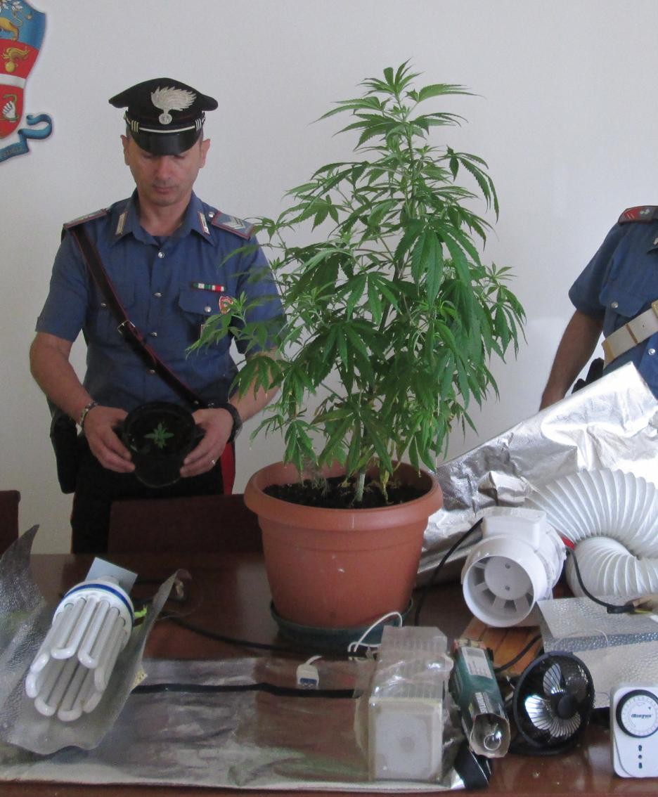 Tutto il materiale recuperato dai carabinieri
