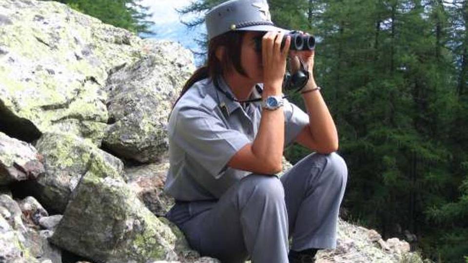 Forestale addio, sarà accorpata Gli agenti: «No alla militarizzazione» Forestale addio, sarà accorpata Gli agenti: «No alla militarizzazione»