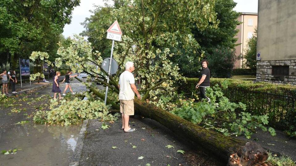 Violento acquazzone, alberi caduti in città Ad Astino blackout elettrico, serata saltata Violento acquazzone, alberi caduti in città Ad Astino blackout elettrico, serata saltata