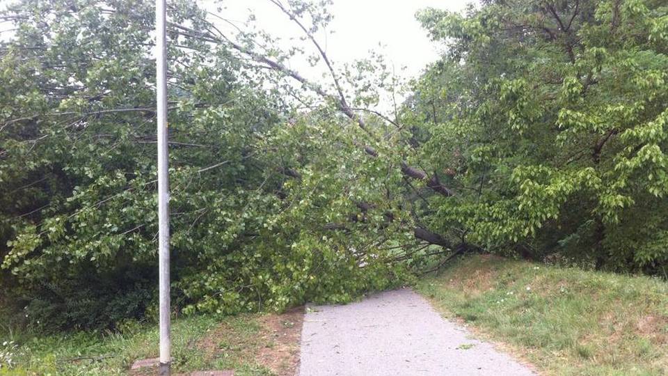 La «bomba d’acqua» di mercoledì Pista ciclabile interrotta a Valtesse La «bomba d’acqua» di mercoledì Pista ciclabile interrotta a Valtesse