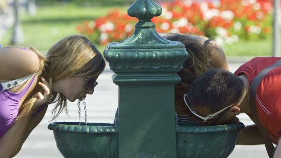 Bergamo Estate: cosa fare dal 31 luglio al 6 agosto Bergamo Estate: cosa fare dal 31 luglio al 6 agosto