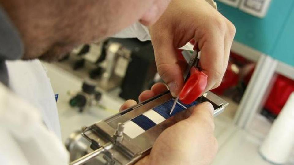 Dal Pirellone 2 milioni per ricerca e innovazione Dal Pirellone 2 milioni per ricerca e innovazione