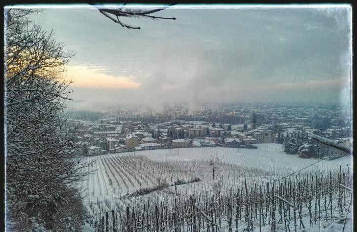 Rosciate sotto la neve Rosciate sotto la neve