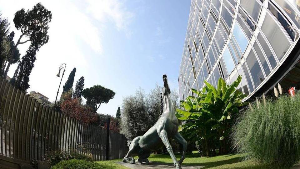 Il canone Rai da pagare in bolletta? Al via una class action dei cittadini Il canone Rai da pagare in bolletta? Al via una class action dei cittadini