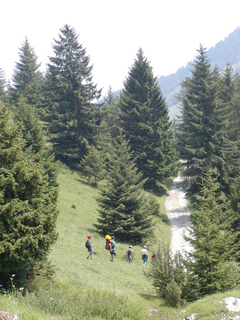 CANYONING IN VAL DI TEDE