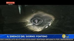 BERGAMO TG NOTTE
