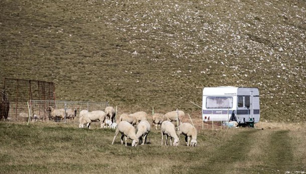 Più aiuti Ue per agricoltori terremotati