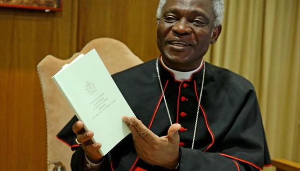 Trump:Vaticano,muro segnale preoccupante