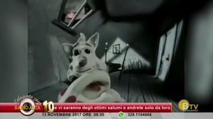 COLAZIONE CON RADIO ALTA