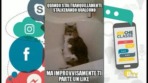 VIA NOVELLI SOCIAL CLUB