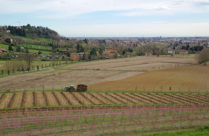 gli orti della Valle d'Astino a Bergamo gli orti della Valle d'Astino a Bergamo