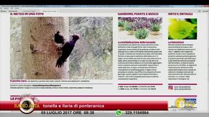 COLAZIONE CON RADIO ALTA