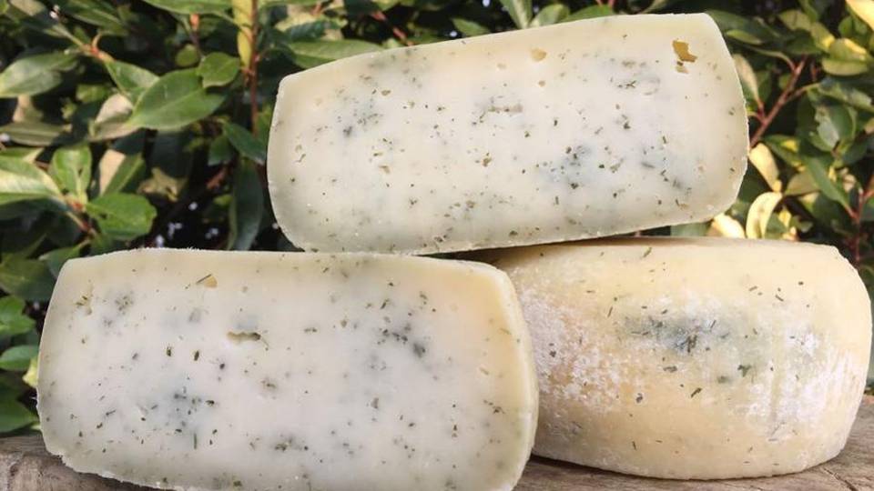 Tradizione, gioventù e fantasia Ecco la formaggella al bambù Tradizione, gioventù e fantasia Ecco la formaggella al bambù