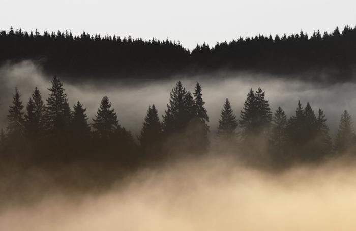 meteo