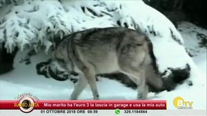 COLAZIONE CON RADIO ALTA