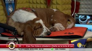 COLAZIONE CON RADIO ALTA