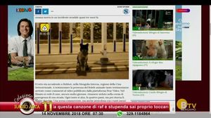 COLAZIONE CON RADIO ALTA